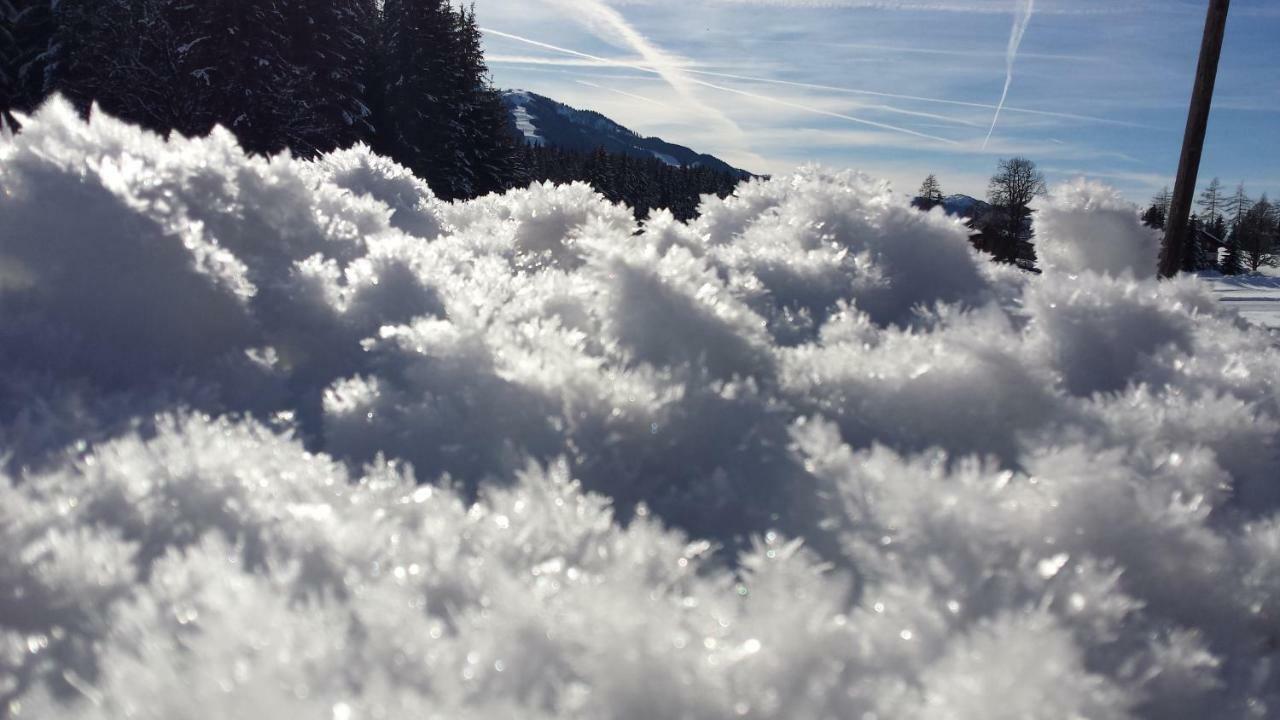 Appartamento Haus Ferienglueck Ramsau am Dachstein Esterno foto