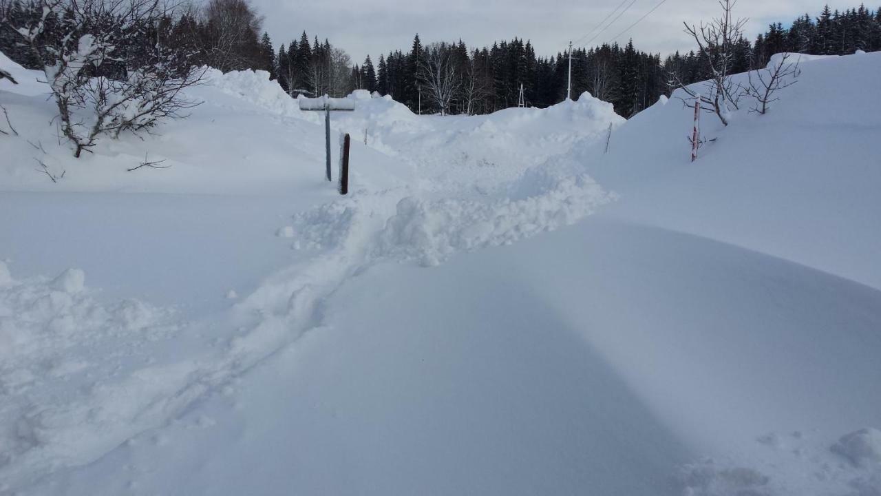 Appartamento Haus Ferienglueck Ramsau am Dachstein Esterno foto