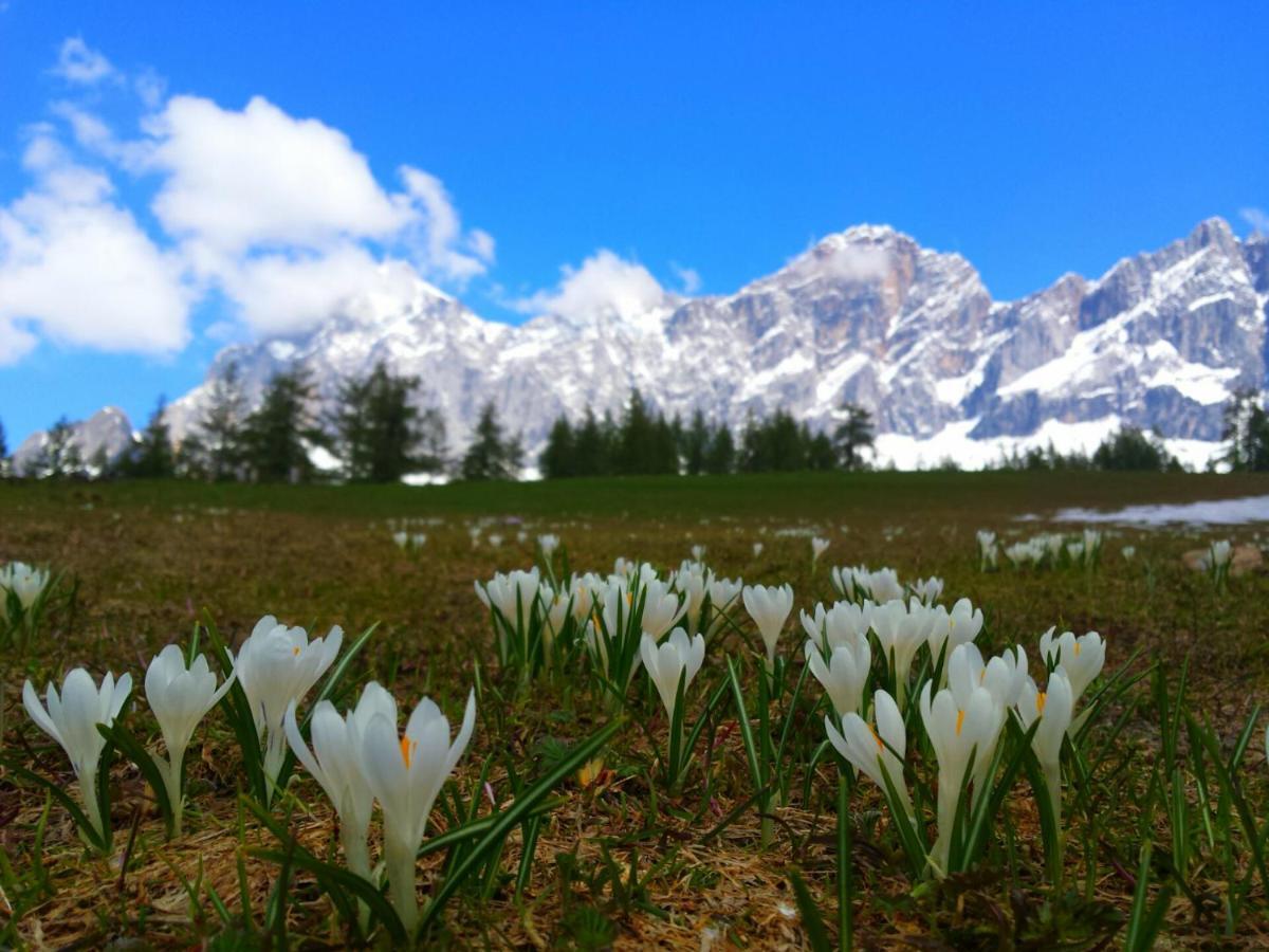 Appartamento Haus Ferienglueck Ramsau am Dachstein Esterno foto
